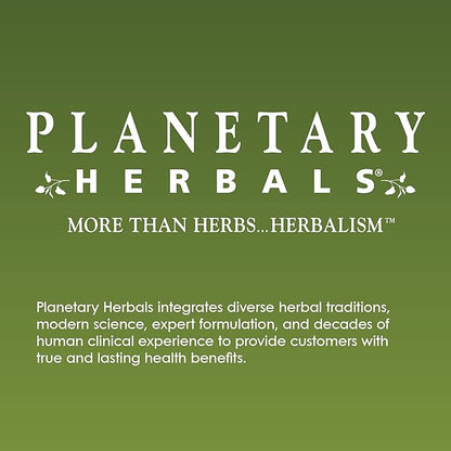 Planetary Herbals Ginkgo Awareness Tablets, 120 Count