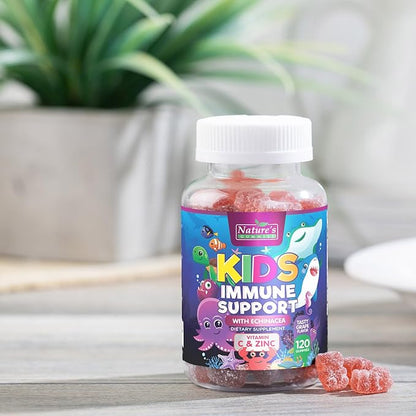 Kids Immune Support Gummies with Echinacea, Zinc & Vitamin C - Berry Flavor Chewable Kids Immunity Gummy Support, Non-GMO Gluten-Free Vegan - Daily Childrens Vitamins with Immune Support - 120 Gummies