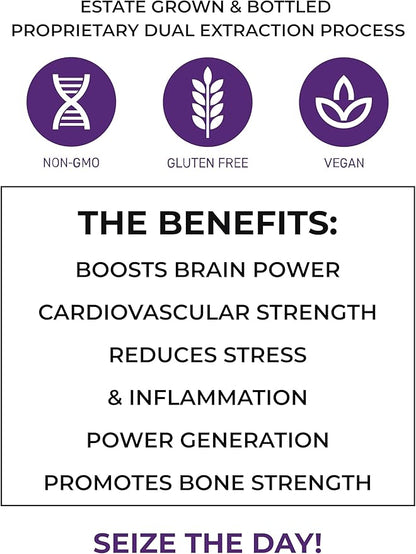 Morning Rush - Lion’s Mane, Turmeric & Ashwagandha Extract Blend - Mushroom Supplement for Focus & Energy Support - 60 Capsules