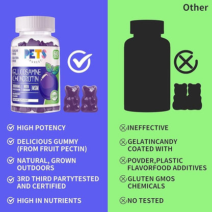 Glucosamine Chondroitin Gummies with MSM & Elderberry Extra Strength - Joint Support, Antioxidant Immune Support Supplement for Adults, Men & Women.60 Blueberry Gummies