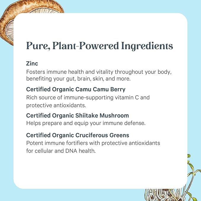 PURE SYNERGY Zinc Complex | Immune Support Supplement | Natural, Vegan Zinc Complex with Vitamin C and Organic Whole Foods | for Immune, Brain, and Skin Health (60 Capsules)