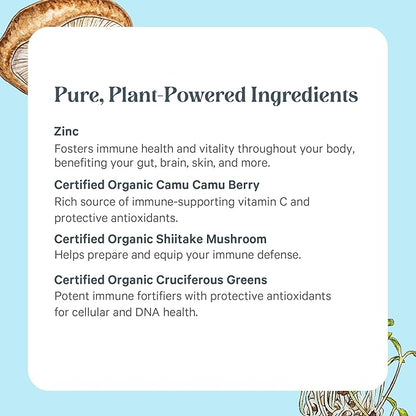 PURE SYNERGY Zinc Complex | Immune Support Supplement | Natural, Vegan Zinc Complex with Vitamin C and Organic Whole Foods | for Immune, Brain, and Skin Health (60 Capsules)