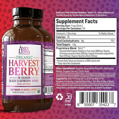Andi Lynn's Organic Harvest Berry Syrup for Kids and Adults – Real Honey Elderberry Syrup for Immune Support - Therapeutic Formula - 4 Fl. Oz (Pack of 3)