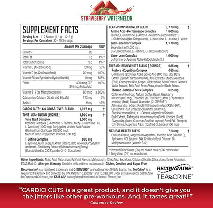 NDS Nutrition 4.0 Pre Workout Supplement - Advanced Weight Loss and Pre Cardio Formula with L-Carnitine, CLA, MCTs, L-Glutamine, and Safflower Oil - Strawberry Watermelon (40 Servings)