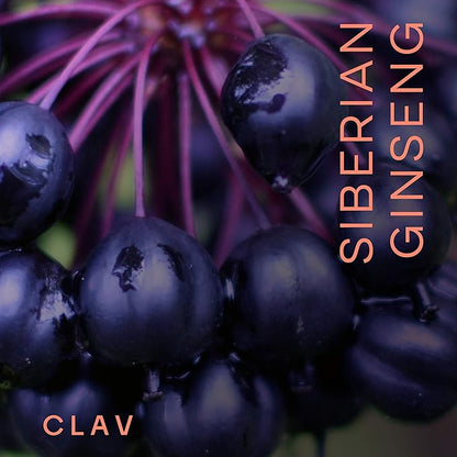 CLAV® Siberian Ginseng - 900mg Eleuthero Root Powder - Energy Supplement - Reduction of Tiredness & Fatigue - 60 Ginseng Capsules - Made in Germany