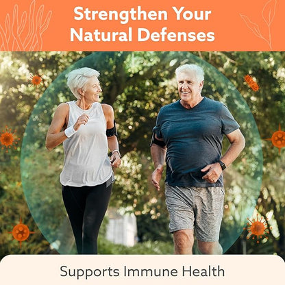 Multi-Mushroom Supplement - Complex For Brain, Immune Support, Nootropics - Performance Blend with Lions Mane, Turkey Tail, Reishi, Cordyceps, Chaga, Maitake, Shiitake, and More - 60 Capsules