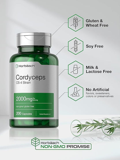 Horbäach Cordyceps Mushroom Capsules 2000mg | 200 Count | CS-4 Strain Cordyceps Sinesis | Non-GMO Herbal Supplement