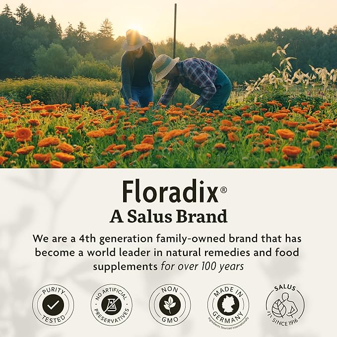 Floradix Floravital Liquid Iron & Vitamins Formula - Liquid Iron Supplement with B Complex Vitamins, Vitamin C & Herbs for Energy Support* - Vegan, Gluten-Free, Yeast- Free, Non-GMO - 16.9 Fl Oz