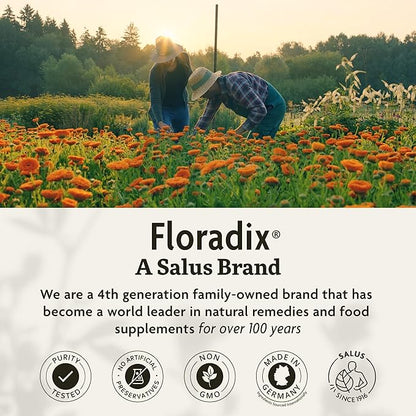 Floradix Floravital Liquid Iron & Vitamins Formula - Liquid Iron Supplement with B Complex Vitamins, Vitamin C & Herbs for Energy Support* - Vegan, Gluten-Free, Yeast- Free, Non-GMO - 16.9 Fl Oz