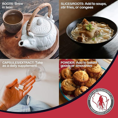 Dairyland American Ginseng Roots 西洋参 - 16 oz Pack of Wisconsin Ginseng Root - Authentic American Ginseng - Non-GMO, Gluten Free Whole Ginseng - Use This Herbal Supplement in Soup, Tea, Congee