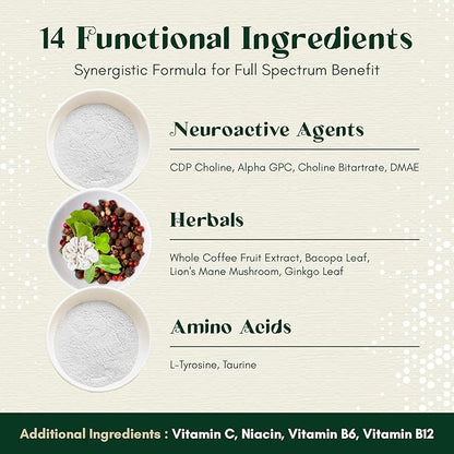 Alpha Focus Nootropic - Memory and Focus Brain Booster Supplement with Choline, Citicoline, GPC, L-Tyrosine, Bacopa Monnieri, DMAE, Gingko Biloba, Lion's Mane, Niacinamide - 60 Capsules