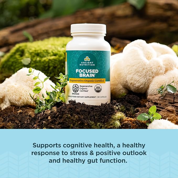 Ancient Nutrition Regenerative Organic Certified Focused Brain Capsules, Made with Ginkgo Leaf, Lion's Mane to Help Reduce Stress, Gluten Free, Paleo and Keto Friendly, 90 Count