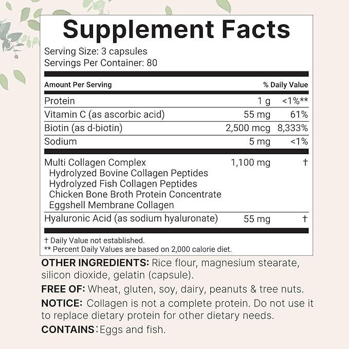 Micro Ingredients 2 Pack Multi Collagen Pills for Women & Men, 480 Capsules | Type I, II, III, V, X - Hydrolyzed Peptides with Biotin, Hyaluronic Acid & Vitamin C | Hair, Skin, Nail & Joint Support