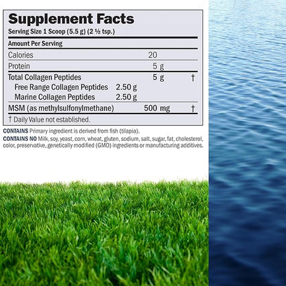 ANDREW LESSMAN Marine, Free Range Collagen Peptides Powder and MSM 60 Servings - Supports Radiant Smooth Soft Skin, Comfortable Joints. Super Soluble No Fishy Flavor No Additives Non-GMO
