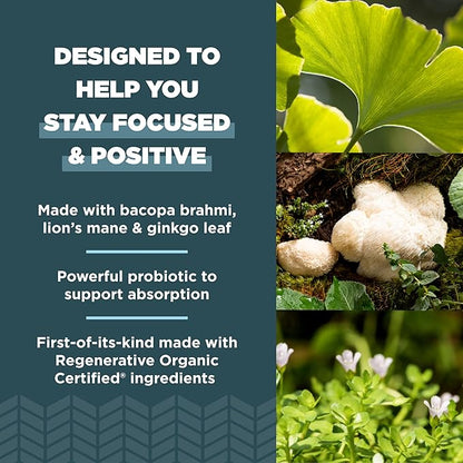 Ancient Nutrition Regenerative Organic Certified Focused Brain Capsules, Made with Ginkgo Leaf, Lion's Mane to Help Reduce Stress, Gluten Free, Paleo and Keto Friendly, 90 Count