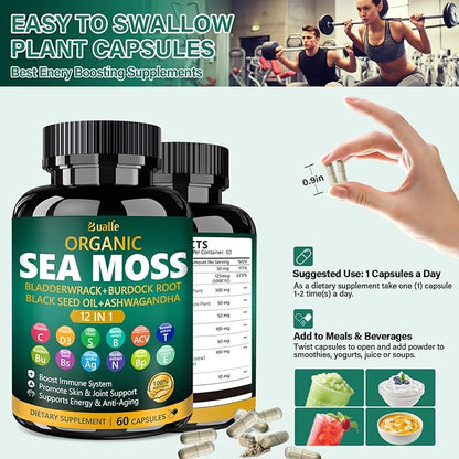 Organic Sea Moss Capsules with Sea Moss,Black Seed Oil,Ashwagandha,Bladderwrack,Ginger,Burdock Root for Immune System,Skin,Energy Support-120 Capsules (2 Pack)