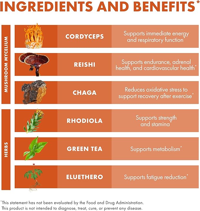 Host Defense MycoBotanicals Energy* Capsules - Energy & Respiratory Support Supplement - Herbal Green Tea Capsules - Respiratory Supplement with Cordyceps, Reishi & Chaga - 60 Capsules (30 Servings)*
