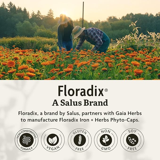 Floradix Iron + Herbs - Iron Supplement for Healthy Energy Support* - Vegan, Non-GMO, Gluten-Free, Soy-Free - 60 Liquid Phyto-Caps
