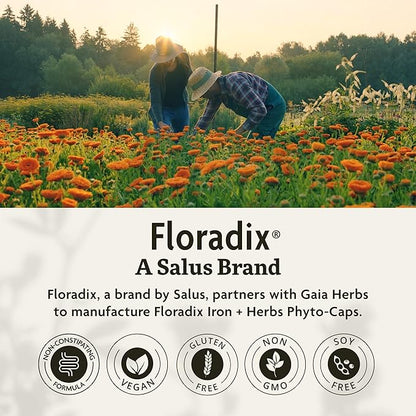 Floradix Iron + Herbs - Iron Supplement for Healthy Energy Support* - Vegan, Non-GMO, Gluten-Free, Soy-Free - 60 Liquid Phyto-Caps