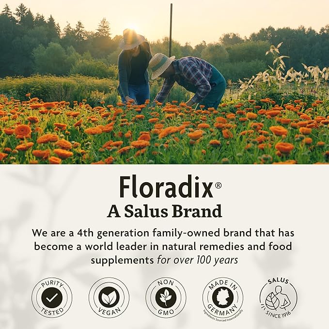 Floradix Iron Tablets - Iron Supplement with Folic Acid, Vitamin C & More - Energy Support* - Vegetarian, Gluten-Free - 120 Tablets