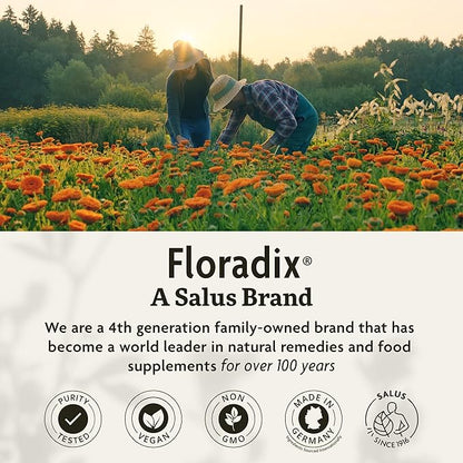 Floradix Iron Tablets - Iron Supplement with Folic Acid, Vitamin C & More - Energy Support* - Vegetarian, Gluten-Free - 120 Tablets