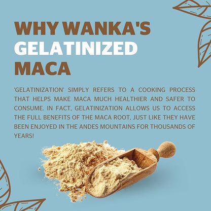 Organic Gelatinized Maca Powder, 8oz or 227g 1 Bag, Peruvian Maca Root. Vegan, USDA Organic, Non-GMO, Gluten-Free, Keto-Friendly Adaptogen Used to Boost Energy, Vitality, and Endurance