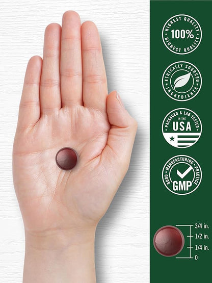 Carlyle Ginkgo Biloba 300mg | 70 Gummies | 45:1 Leaf Extract | with Peach Raspberry Flavor | Vegan, Non-GMO, Gluten Free Supplement