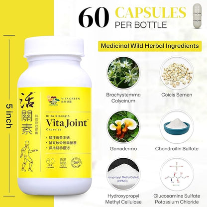 Vita Green Joint Health Capsules – Natural Herbal Supplement for Joint Mobility & Flexibility – Supports Cartilage Repair & Pain Relief – 60 Count