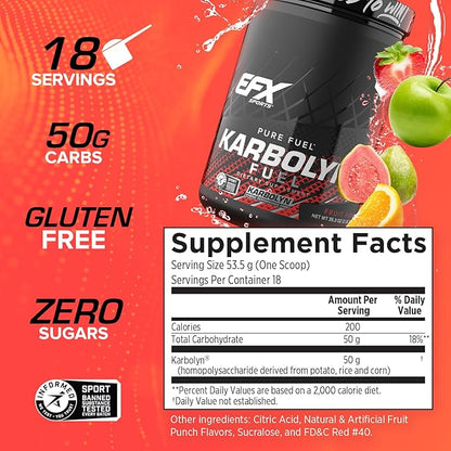 EFX Sports Karbolyn Fuel | Fast-Absorbing Carbohydrate Powder | Carb Load, Sustained Energy, Quick Recovery | Stimulant Free | 18 Servings (Fruit Punch)