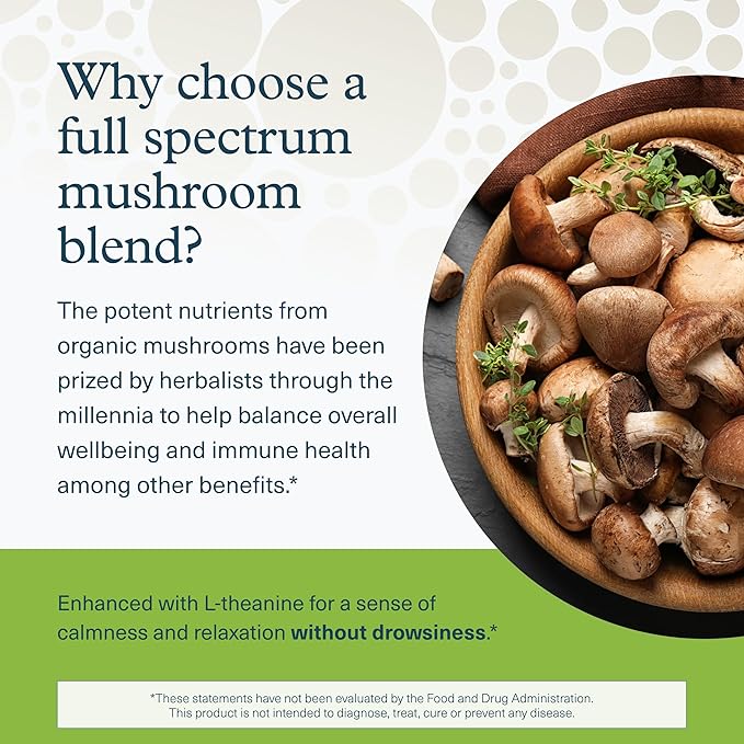 Youtheory Mushroom Immune Complex - Vegan Immune Support Supplement* - Organic Mushroom Blend with Chaga, Cordyceps, Lion's Mane, Maitake & More - 60 Vegetarian Capsules