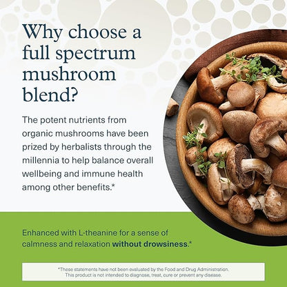 Youtheory Mushroom Immune Complex - Vegan Immune Support Supplement* - Organic Mushroom Blend with Chaga, Cordyceps, Lion's Mane, Maitake & More - 60 Vegetarian Capsules