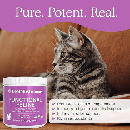 Cat Vitamins Supplement - 2.65 oz Cat Mushroom Functional Feline Supplement - Mushroom Blend Powder - - Mushroom Powder with Antarctic Krill, Ashwagandha & Functional Organic Mushrooms