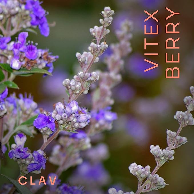 Vitex Berry - Premium Chasteberry 4:1 Extract (Vitex Agnus Castus) - Menopause & PMS Support - Hormone Balance for Women - 180 Capsules - 6 Month Supply - Made in Germany