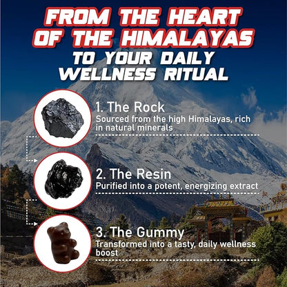 Pure Himalayan Shilajit Gummies, No Added Sugar, Ashwagandha, Maca Root, Turmeric Extract with Vitamin C, Non-GMO, 100% Natural & Organic (60 Count, Mix Berry)