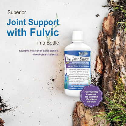 Vital Earth Liquid Joint Support Supplement 2-Pack – Glucosamine, Chondroitin, MSM Plus Hyaluronic Acid, Boswellia & Fulvic Acid (70+ Trace Minerals), 32 Oz Ea