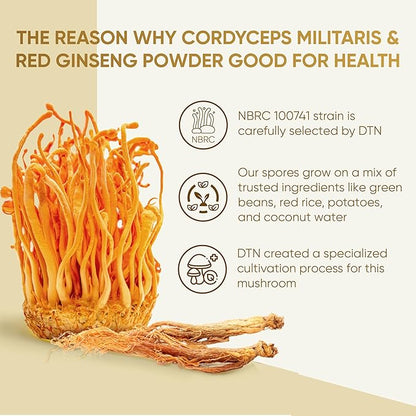 Dong Thao NAM - Organic Red Ginseng and Cordyceps Powder, 6 in 1 Herbal Extract, Increases Alertness, Increases Energy and Reduces Fatigue, Caffeine Free, Pack of 10