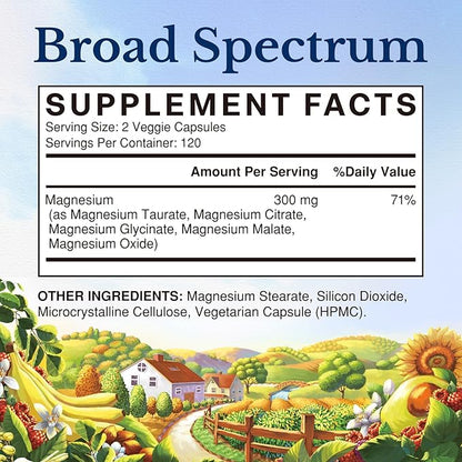 Vitalitown Magnesium Complex Supplement | 300mg Elemental Mag | Magnesium Citrate Glycinate Taurate Malate | Non-GMO, No Gluten, 240 Vegan Capsules for Bone Muscle Brain Heart