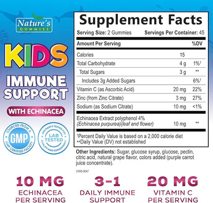 Kids Immune Support Gummies with Echinacea, Zinc & Vitamin C - Berry Flavor Chewable Kids Immunity Gummy Support, Non-GMO Gluten-Free Vegan - Daily Childrens Vitamins with Immune Support - 90 Gummies