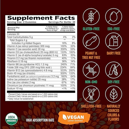 YUM-V'S Strong Earth Organic Multivitamin Gummies, Vitamins & Minerals Including Vitamin A, C, D3, E, B6 & Zinc - Chewable Vitamin with Immune Support for Boys and Girls, 60 Count