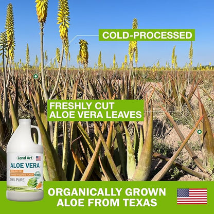 Pure Aloe Vera Drinkable Gel - Orange Tangerine Flavored - Cold-Processed Inner Filet - from Organic Fresh Leaves from Texas - for Heartburn Relief - Acid Reflux - 64 fl oz