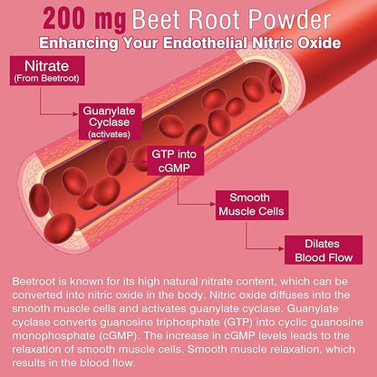 Beet Root Gummies with Iron, Methyl B12, Folate, Vitamin C - Made in USA - Increase Nitric Oxide & Iron Levels, Energy Support, Fight Fatigue, Beetroot & Gentle Iron Supplement, Sugar Free, 60 Counts