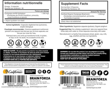Brain Forza Organic Cordyceps Capsules - Cordyceps Sinensis Mushroom Low-Oxygen Grown in The USA, Non-GMO, Vegan, Organic, 90 Capsules