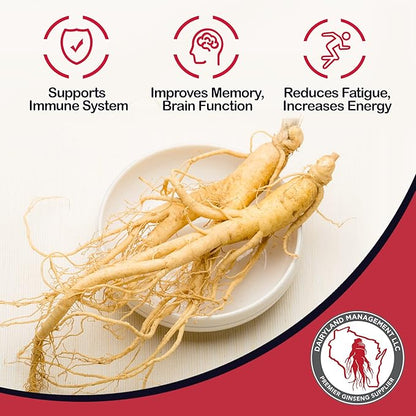Dairyland American Ginseng Capsules, 75 ct (500 mg) – Authentic Wisconsin Ginseng Root Extract – Daily Herbal Supplement for Immune Support
