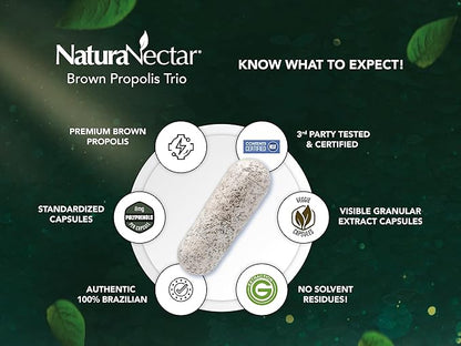 NaturaNectar - Brown Bee Propolis - NSF Contents Certified - Premium Brazilian Propolis - Gluten-Free Supplement with Flavonoids, FLAV-B and PWE - Naturally Sourced Through Ethical Beekeeping (60pcs.)