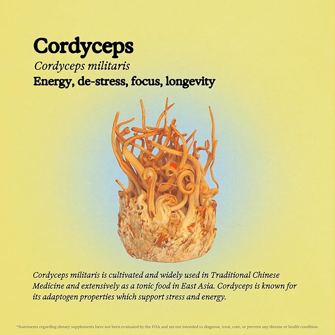 Cordyceps Mushroom Tincture, Alcohol Free Dual Extract Mushroom Supplement for Immune Support, Energy, Liquid Cordyceps Supplement, Vegan, Non GMO, 3.4 fl oz