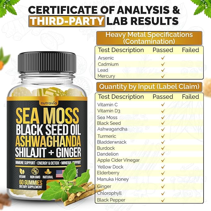 Sea Moss, Black Seed Oil, Ashwagandha, Ginger, Shilajit Gummies with Elderberry, Chlorophyll, Turmeric Bladderwrack Sea Moss Gummies Advanced Strength Formula - All in 1 Bundle - USA Made (60 Gummies)