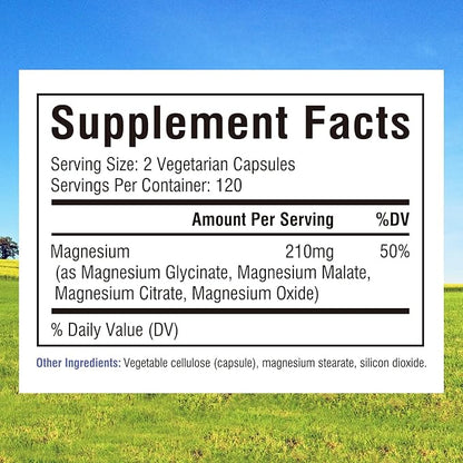Innate Vitality Magnesium Complex - Magnesium Glycinate, Malate, Citrate, Oxide, 4-in-1 Formula for Energy, Muscles, Bones & Nerves, Vegan & No Gluten, 240 Capsules