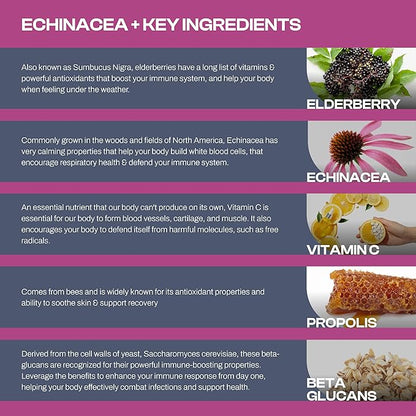 Echinacea Immune Support Supplement, Infused with Elderberry, Vitamin C, Propolis and Beta Glucans, Immune Booster Vitamins and Supplements for Adults, 60 Vegan Echinacea Capsules