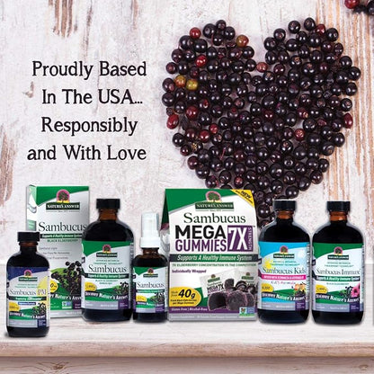 Nature's Answer Kids Sambucus Chewables Black Elderberry with Vitamin C and Zinc