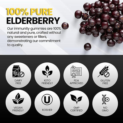 Sambucus Elderberry Gummies with Zinc & Vitamin C - Sugar Free Elderberry Immune Support Gummies & Vitamins for Adults & Kids – Vegan & Non-GMO – Pack of 2